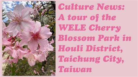 wele taiwan